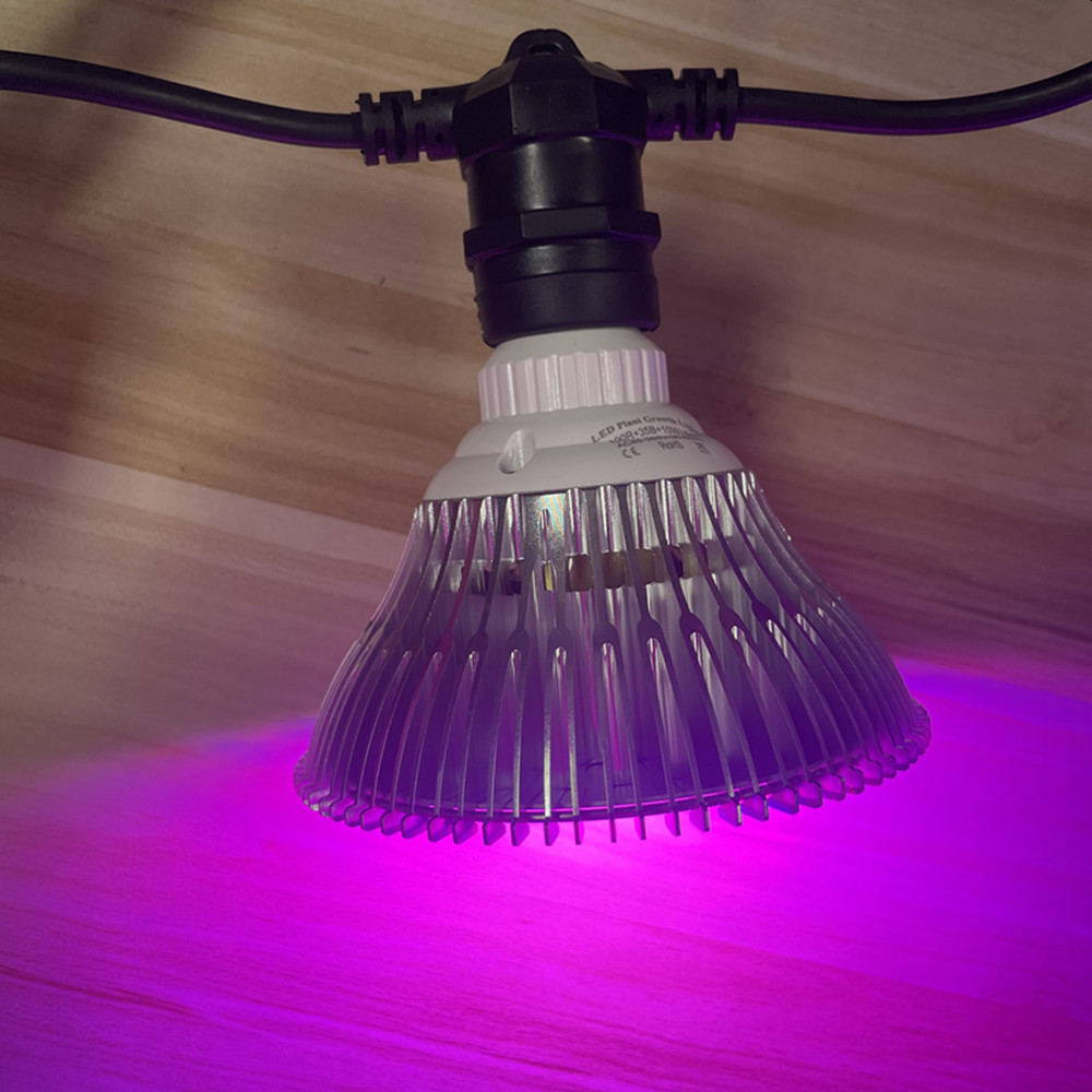 10M Cable LED String Commercia - Led Fairy String Lights 评论和价格
