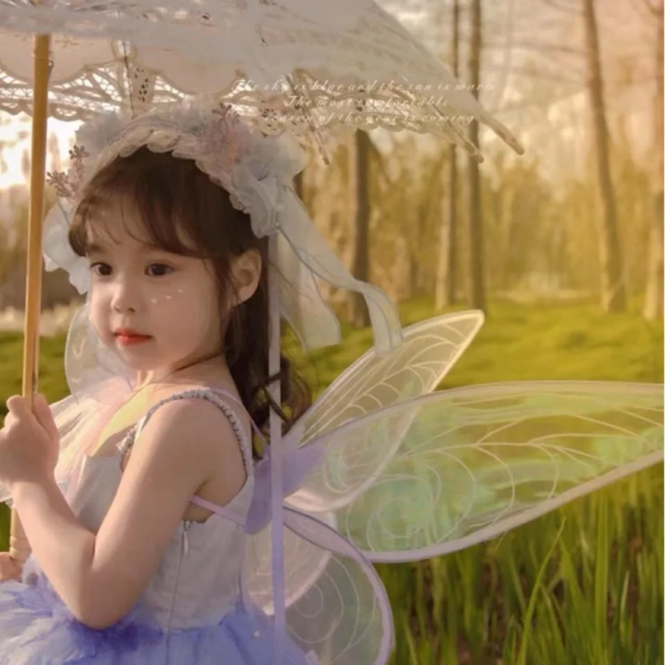 Princess Butterfly Fairy Wing  - Elf Costume Christmas 评论和价格